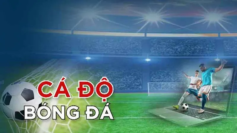 Cá Cược Bóng Đá Khin789 Với Nền Tảng Hiện Đại Và An Toàn